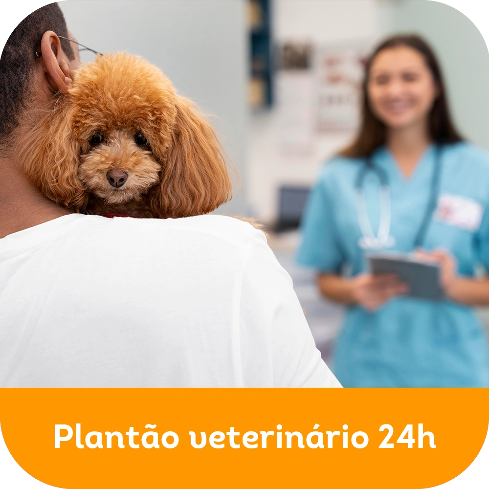 Plantão veterinário 24h